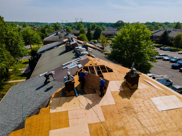 Best Roof Repair Services  in Benton Harbor, MI