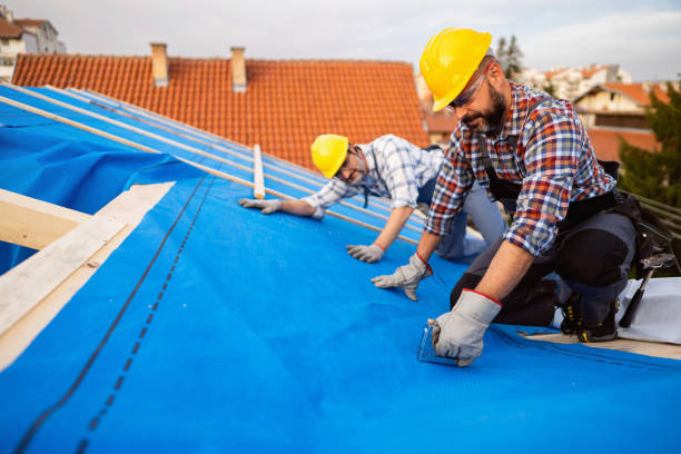 Best Storm Damage Roof Repair  in Benton Harbor, MI