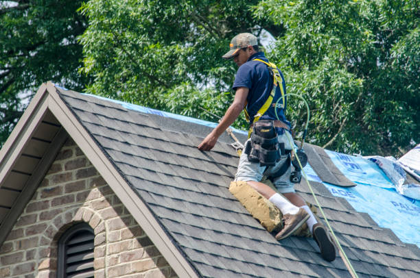 Best Shingle Roofing Installation  in Benton Harbor, MI